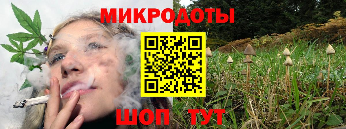Галлюциногенные грибы MAGIC MUSHROOMS  Ачхой-Мартан 