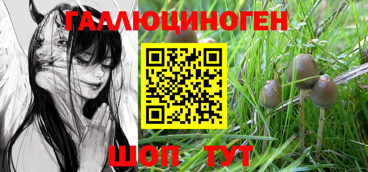 Псилоцибиновые грибы MAGIC MUSHROOMS  Вход с VPN  Ачхой-Мартан 